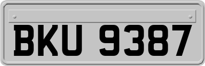 BKU9387