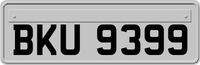 BKU9399