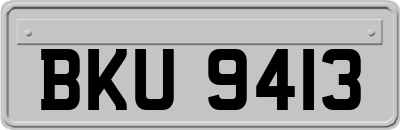 BKU9413