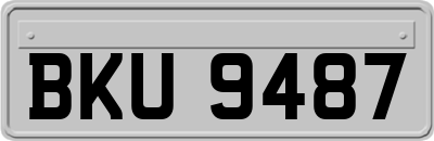 BKU9487