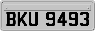 BKU9493