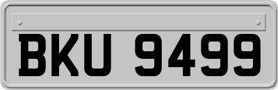 BKU9499