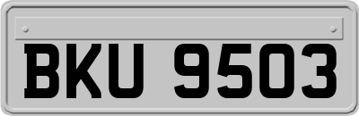 BKU9503