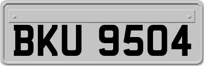 BKU9504