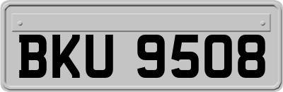 BKU9508