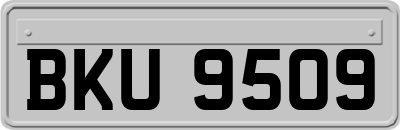 BKU9509
