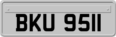 BKU9511