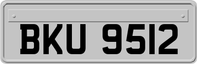 BKU9512