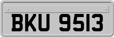 BKU9513