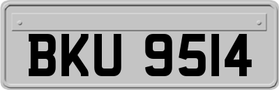 BKU9514
