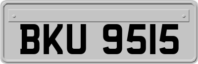 BKU9515