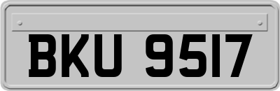 BKU9517