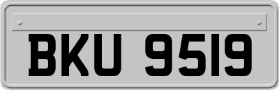 BKU9519