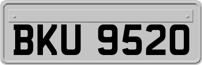 BKU9520