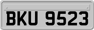 BKU9523