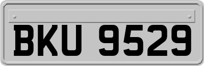 BKU9529
