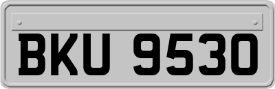 BKU9530