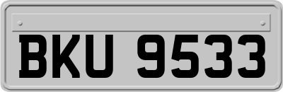 BKU9533