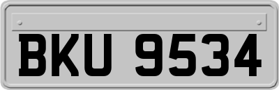 BKU9534