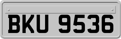 BKU9536