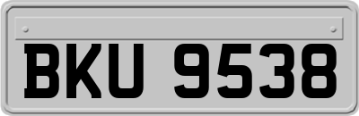 BKU9538