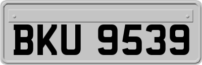 BKU9539