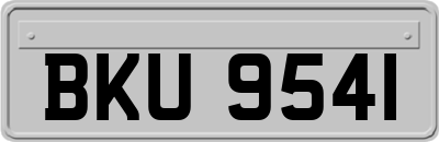 BKU9541
