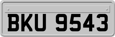BKU9543