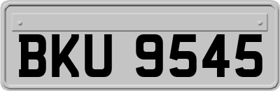 BKU9545