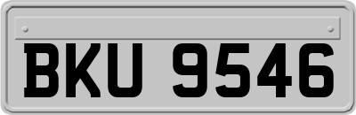 BKU9546