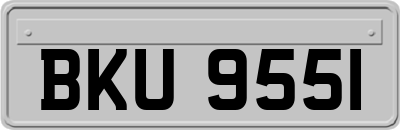 BKU9551