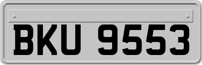 BKU9553