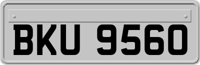 BKU9560