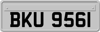 BKU9561