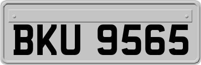 BKU9565