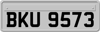 BKU9573