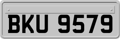 BKU9579