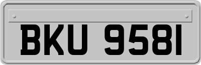 BKU9581