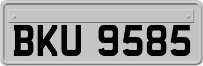 BKU9585