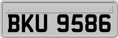 BKU9586