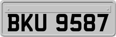 BKU9587