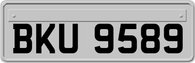 BKU9589
