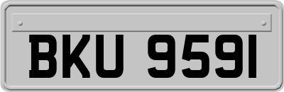 BKU9591