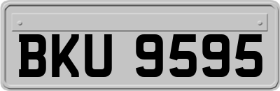 BKU9595