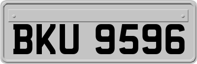 BKU9596