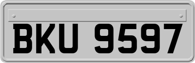 BKU9597