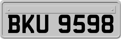 BKU9598