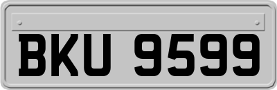 BKU9599