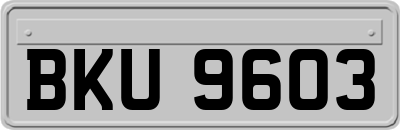 BKU9603