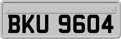 BKU9604
